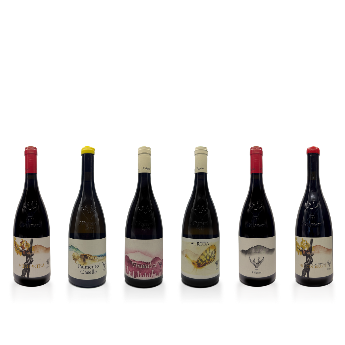 Salvo Foti Six bottle collection: I Vigneri, The History of Mount Etna