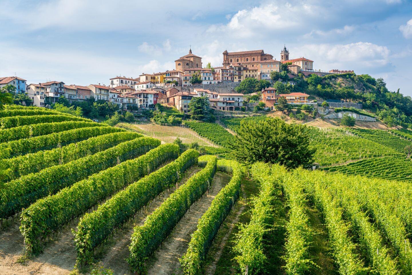 Nebbiolo Before Barolo: Discovering Piedmont’s Most Captivating Grape