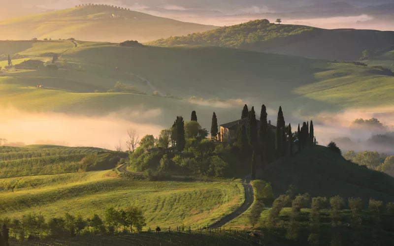 Italian Wines