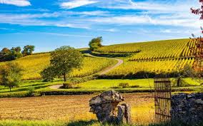French Wines