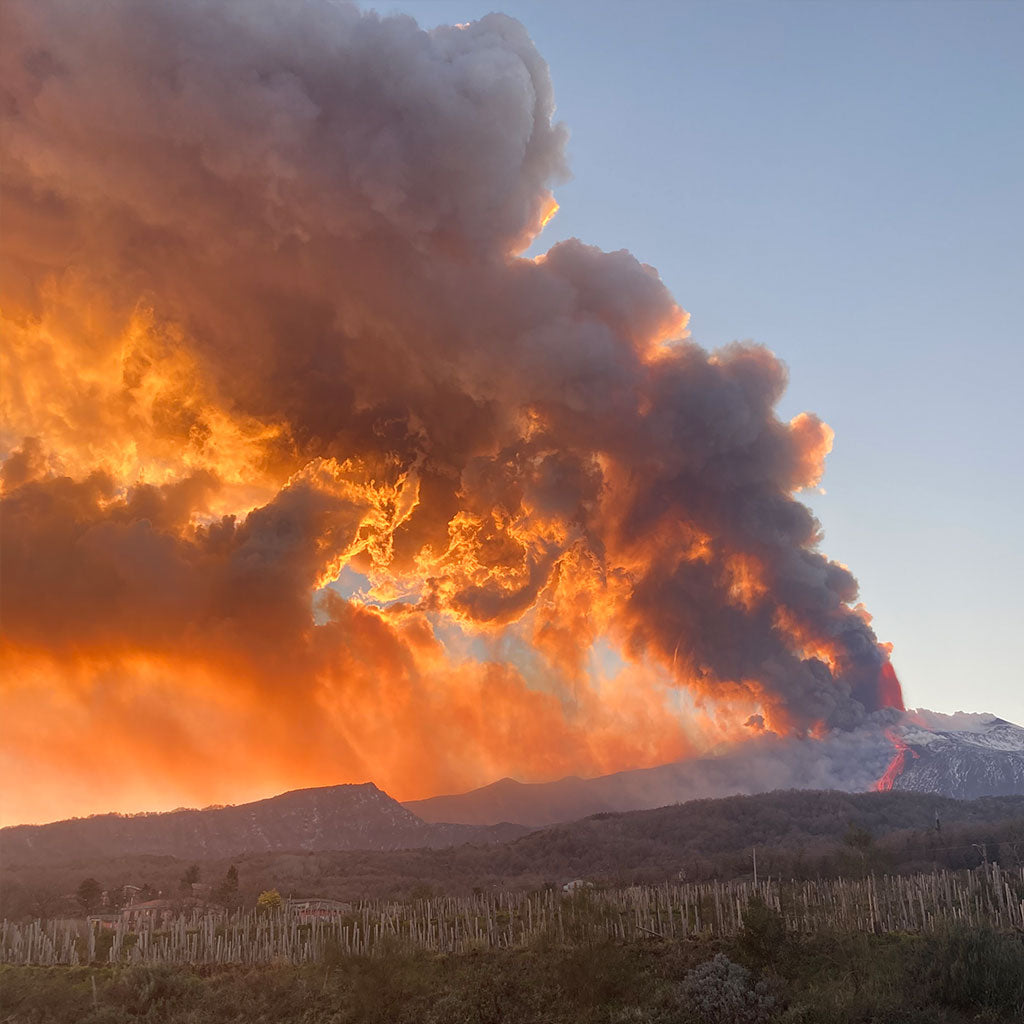 Salvo Foti Six bottle collection: I Vigneri, The History of Mount Etna