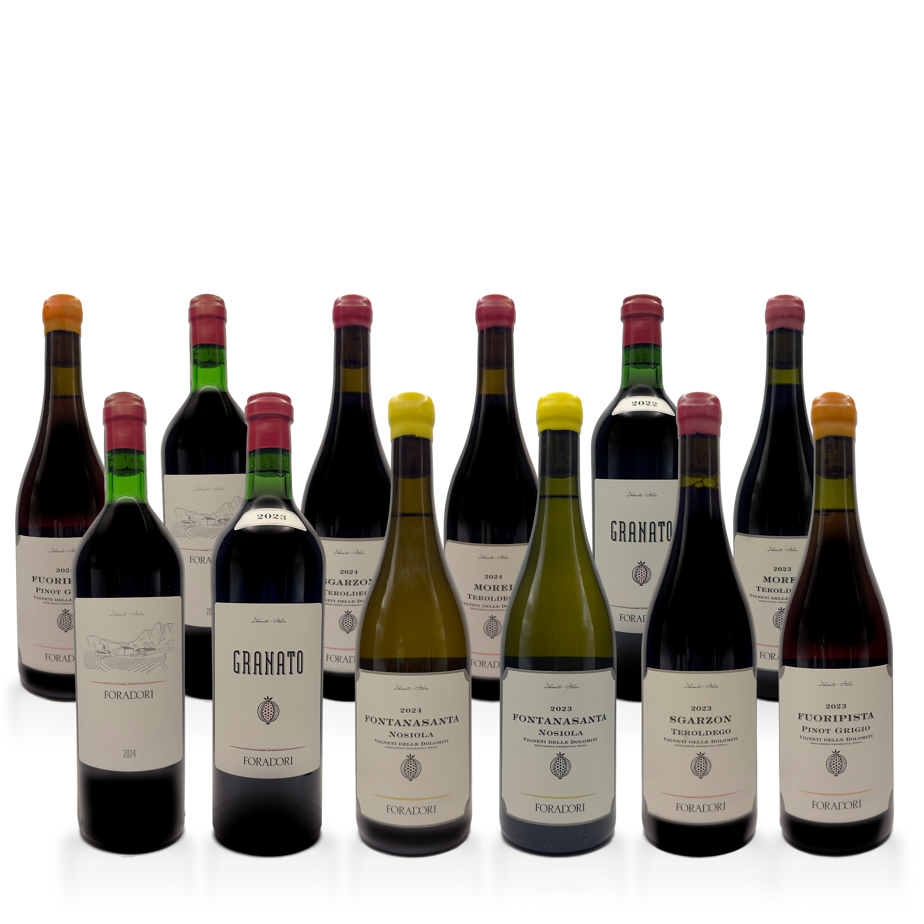 Foradori Twelve bottle collection: a study of Trentino