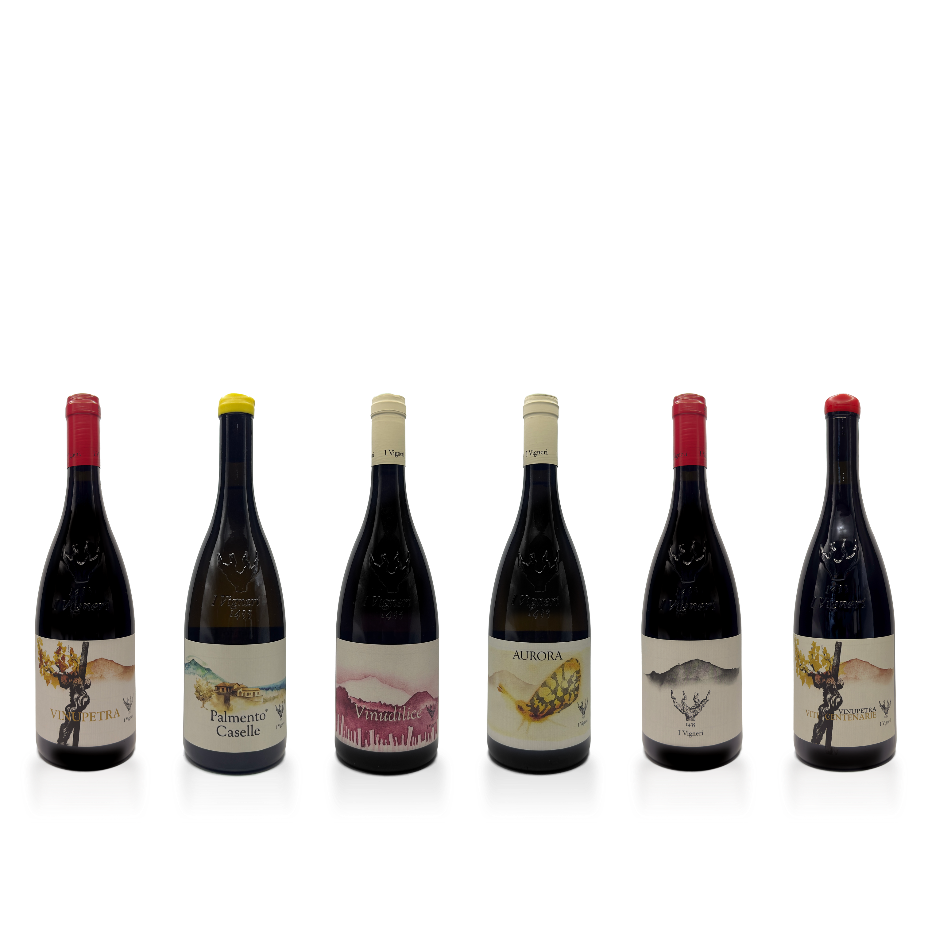 Salvo Foti Six bottle collection: I Vigneri, The History of Mount Etna